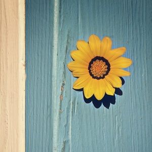 Meet your Posher, Bertha